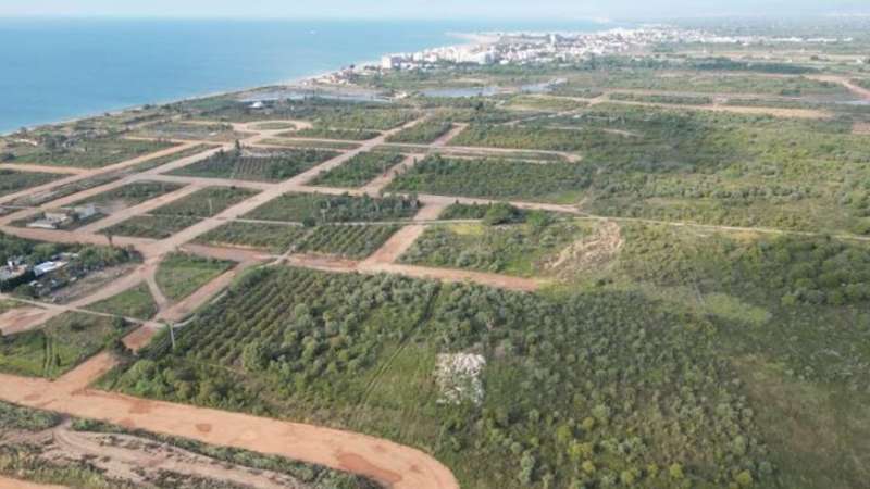 Projecte del PAI Sant Gregori.EPDA