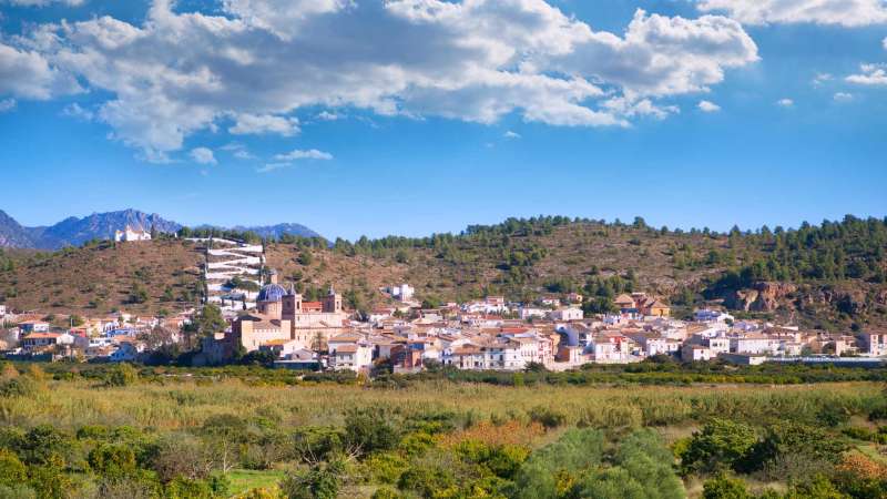Panormica de Sot de Ferrer. EPDA 