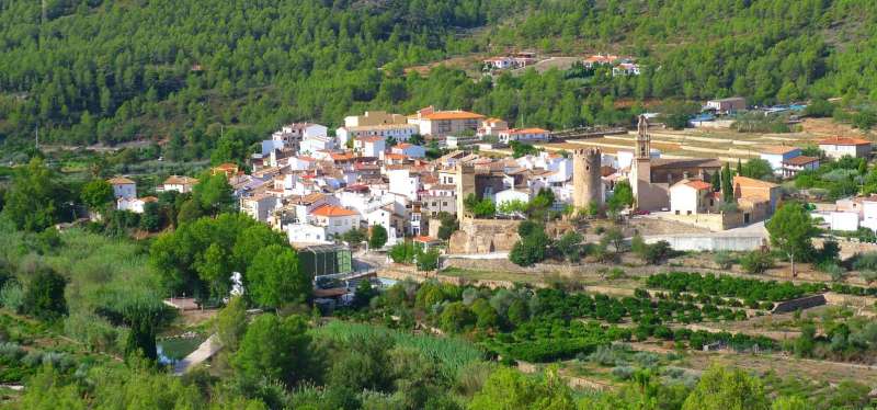 Panorámica de Argelita. EPDA