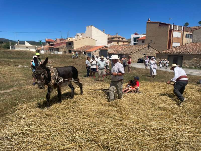 Fiesta de la siega y la trilla de la Villa de El Toro. EPDA