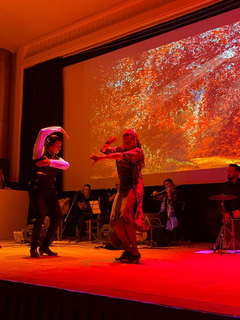 Montanejos contar con un evento de flamenco. EPDA