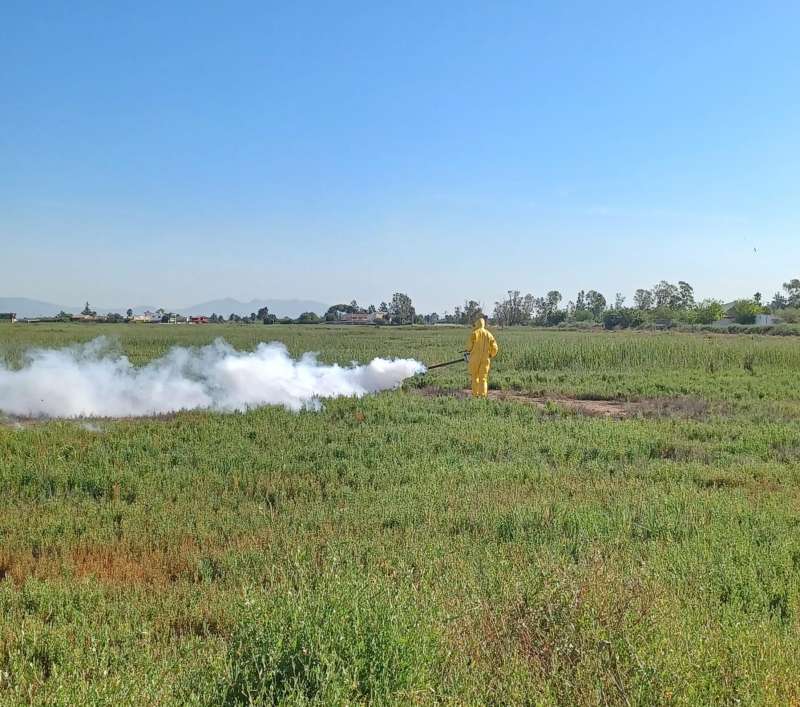 Tractaments i actuacions de prevenci de focus de mosquits   Foto: Ajuntament de Nules 