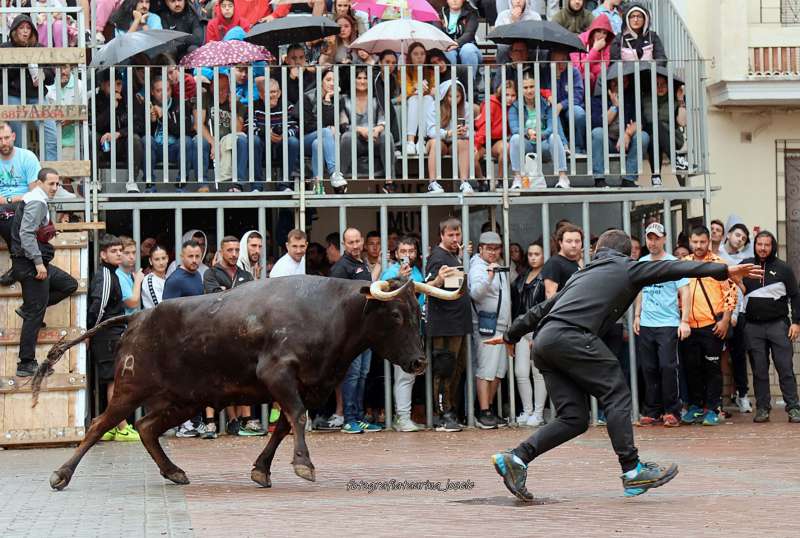Lunes, martes y miércoles no habrá toros en Navajas