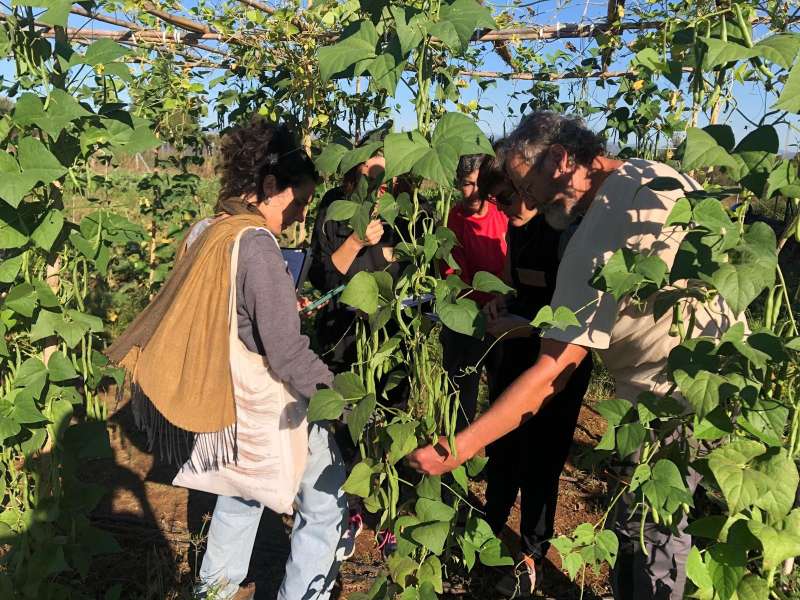 Formaci�n de la Fundaci�n Low Carbon Economy. EPDA