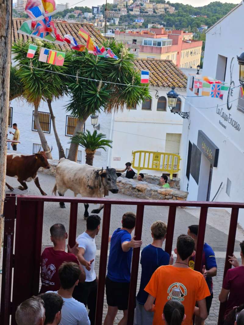 Tarde taurina en las fiestas Patronales de Oropesa del Mar.  EPDA