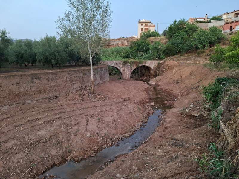 Zona despejada de caas. EPDA