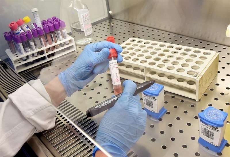 Un sanitario con pruebas PCR de detección del virus. / EFE