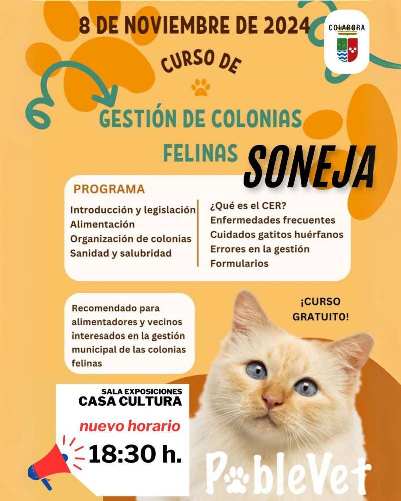 Cartel del curso.EPDA