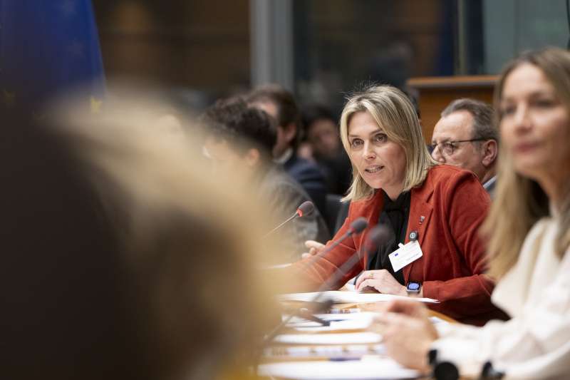 Marta Barrachina, presidenta de la Diputaci�n de Castell�n, en el Parlamento Europeo.  EPDA
