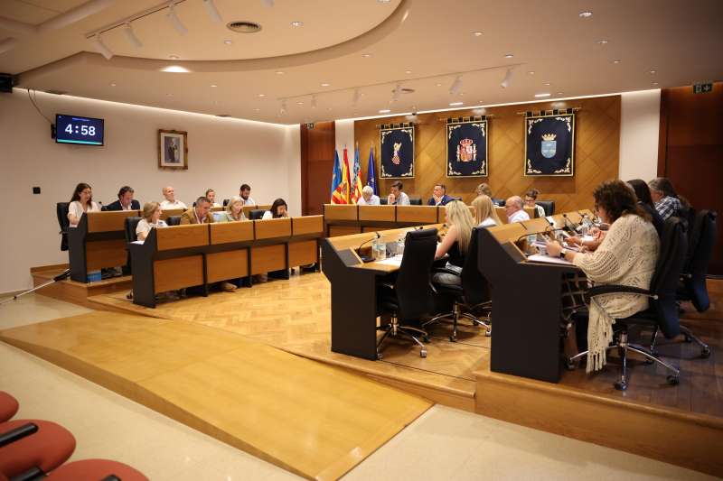 imagen del pleno.  EPDA