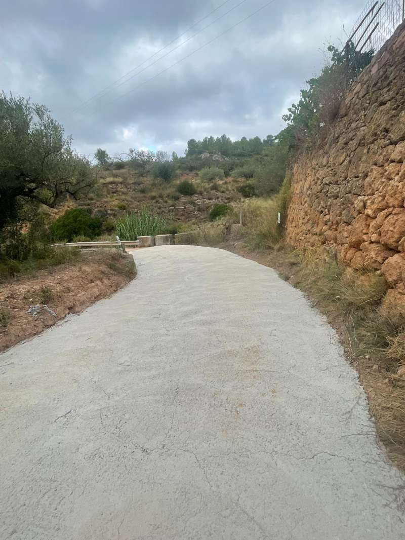 Tramo del Camino de Aragn mejorado. EPDA