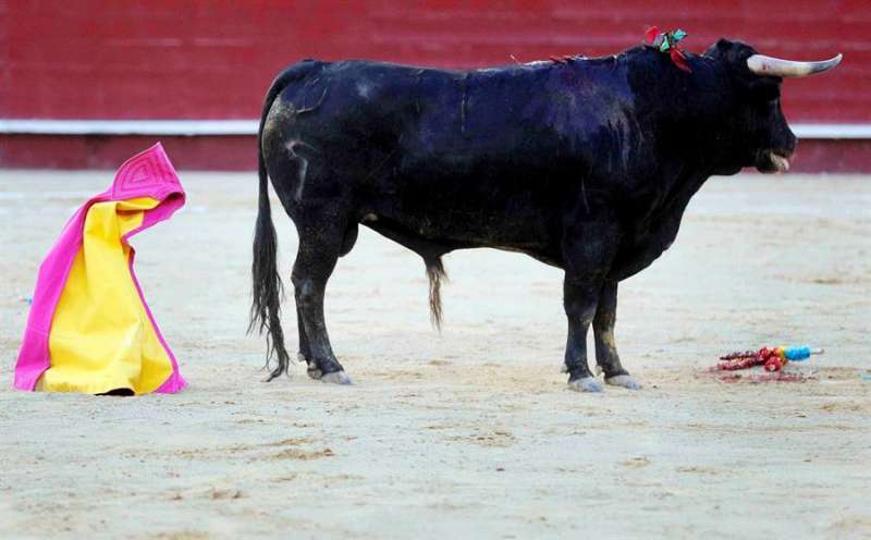 Imagen de archivo de un toro en la plaza  Foto: EPDA