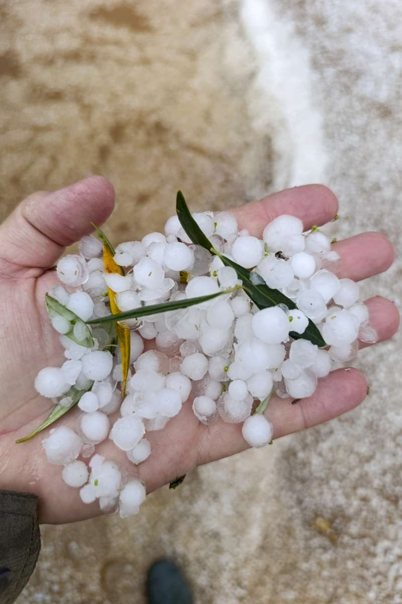 Una persona muestra el granizo cado durante una tormenta. EFEJess Monroy
