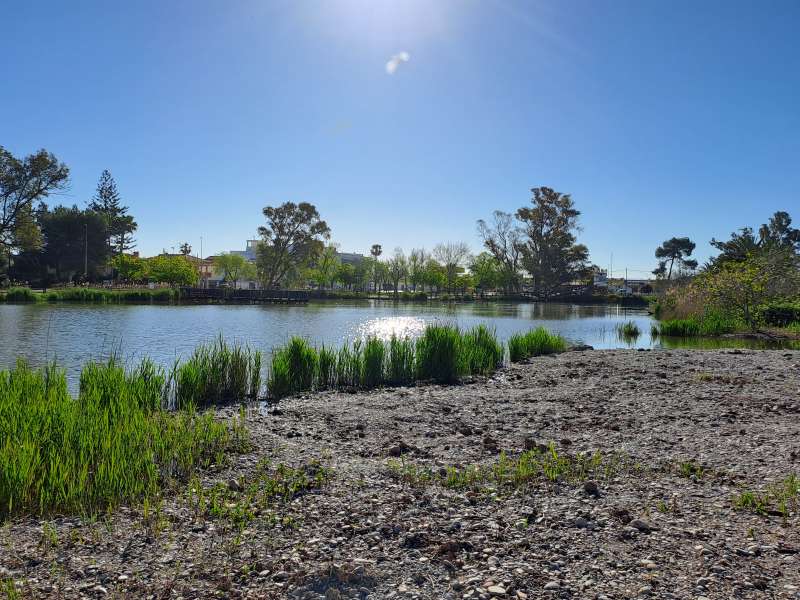 Nueva laguna en el parque natural de l?Estany de Nules.  EPDA