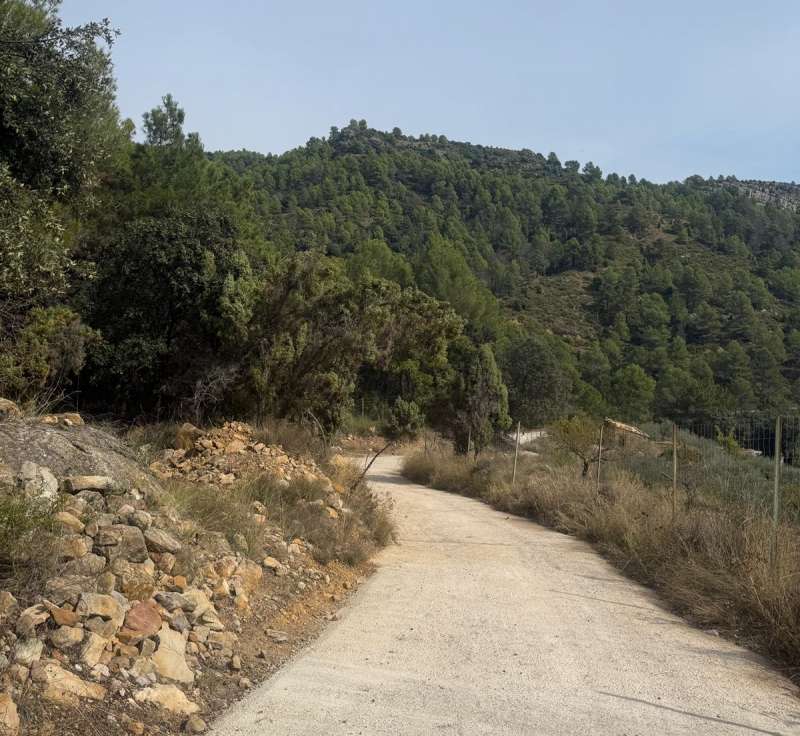 Camino reparado en Cedramn. EPDA
