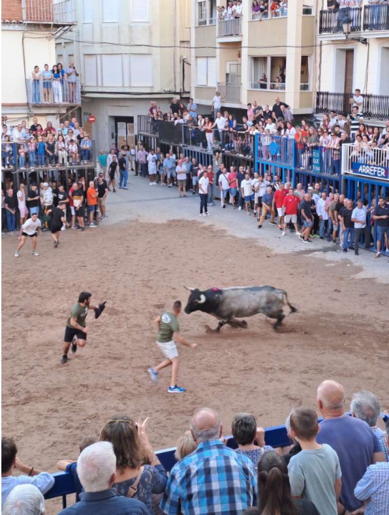 Activitats taurines en Nules | EPDA