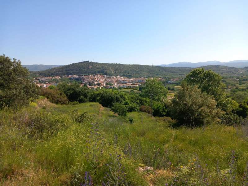 Vista panormica de Viver. EPDA