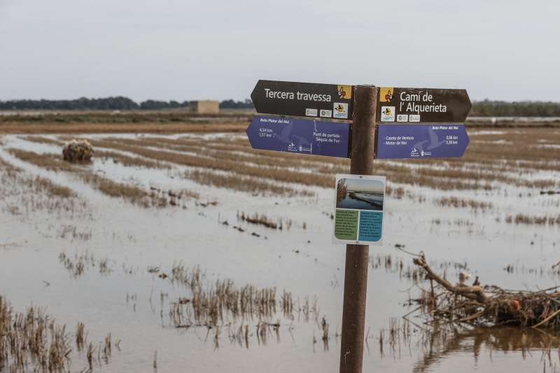 Campos de arroz de la Albufera de Valencia despuÃ©s de la dana. EFE/Manuel Bruque
