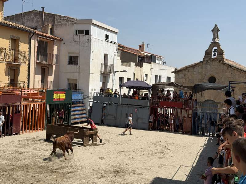 Toros de la ganadera Hermanos Bells | EPDA