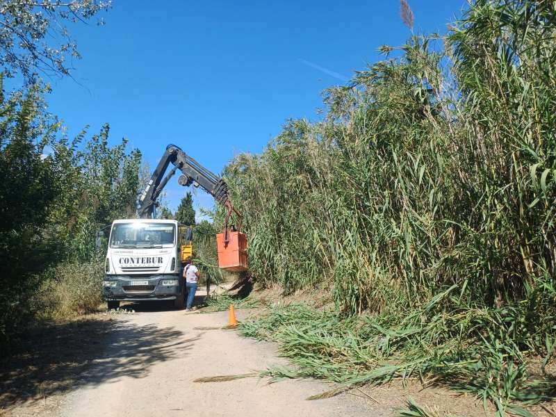 Trabajo de poda en el Clot de Burriana.  EPDA 