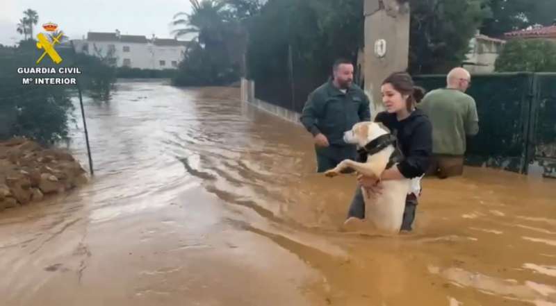 Un instante durante el rescate de una familia y su perro en Alcal de Xivert GUARDIA CIVIL