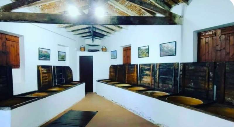 Museo del aceite de Altura. EPDA