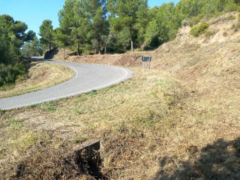 Trabajos llevados a cabo en la carretera a Teresa. EPDA