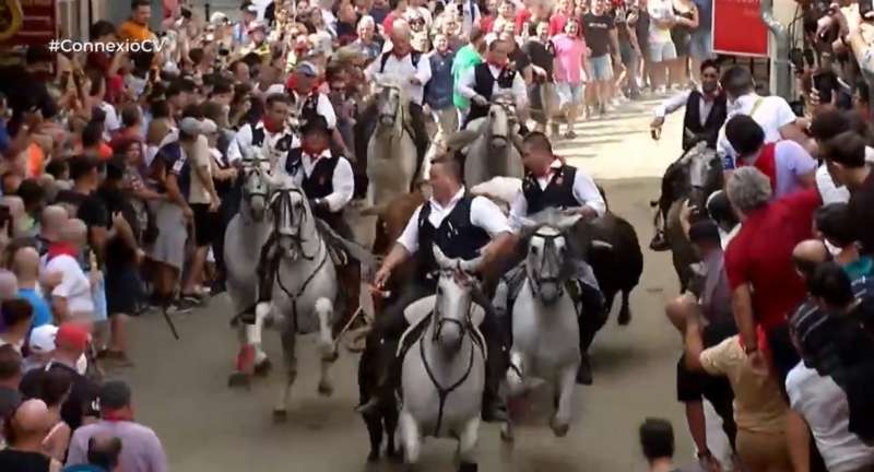 Imagen de la segunda Entrada de Toros y Caballos de Segorbe.  Punt