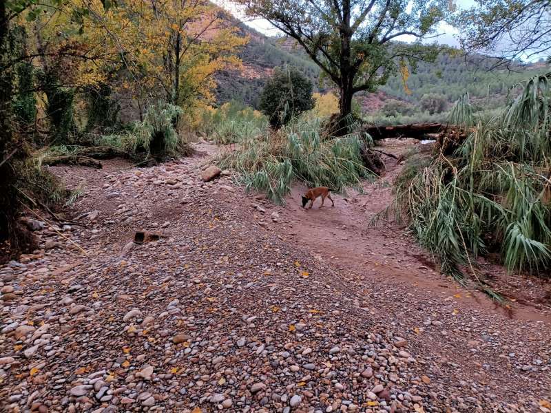 Situacin de la zona del ro tras el paso de la DANA.EPDA