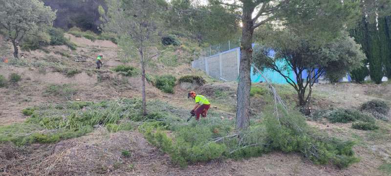Labores de prevencin de incendios. EPDA