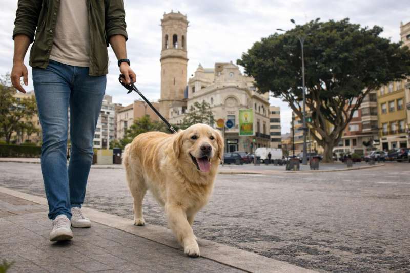 Una persona pasea a su perro.  EPDA