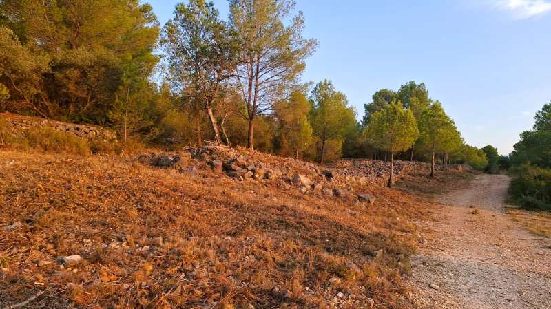 Uno de los caminos limpios para prevenir incendios.  EPDA 