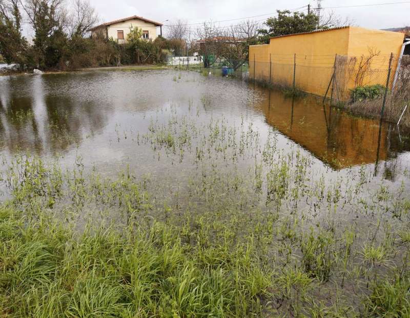 Vista de un sembrado inundado por la lluvia, en una imagen de archivo. EFEEsteban Cobo
