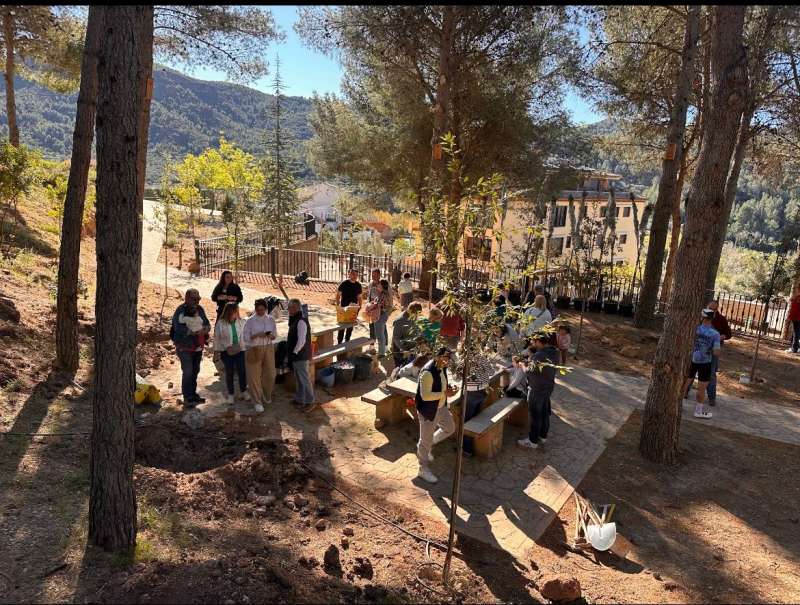 Gran participaci�n en el proyecto. EPDA