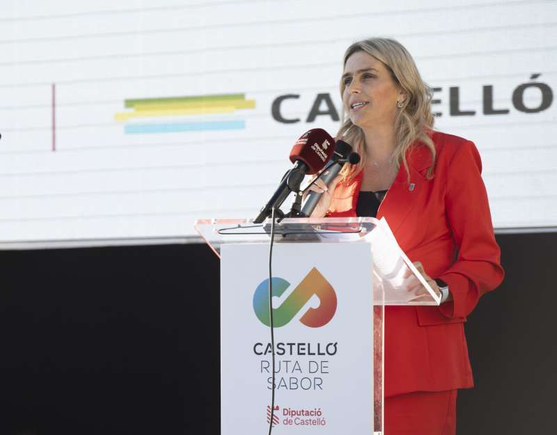 La presidenta de la Diputació Provincial de Castelló, Marta Barrachina. /EPDA