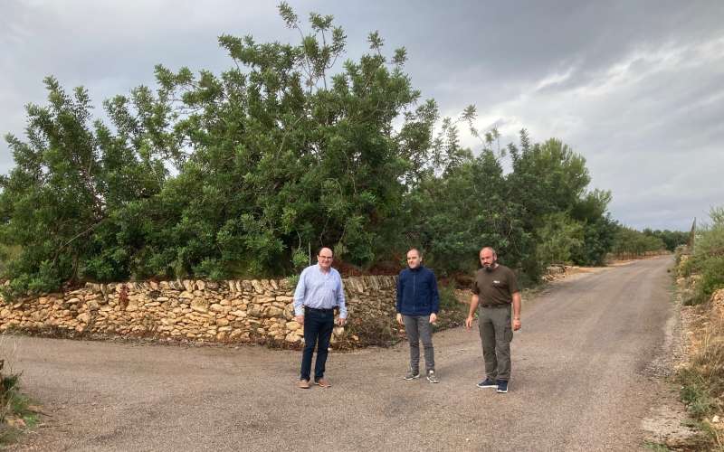 El alcalde, Jaime MartÃ­nez, junto a los concejales Alejandro Vidal y Leo BellÃ©s; visita los caminos reparados. /EPDA