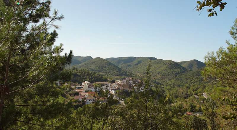 Torralba del Pinar. EPDA