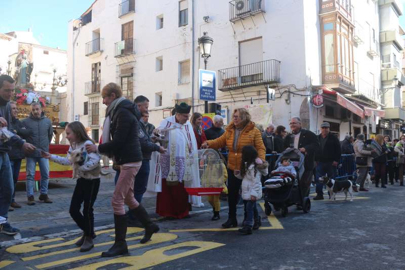 Bendición de animales en San Antón 2020