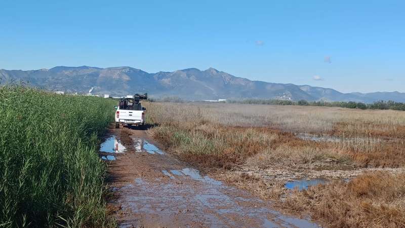 Tratamientos contra mosquitos.  EPDA 