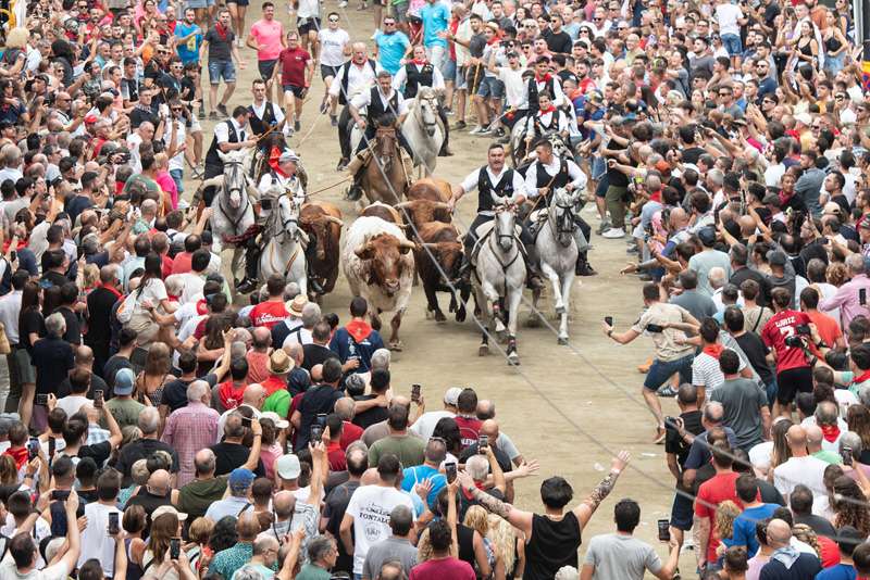 Primer da de la Entrada de Toros y Caballos de Segorbe.EPDA