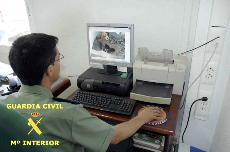 Imagen cedida por la Guardia Civil de una operaciÃ³n contra la venta ilegal de animales por internet. EFE/Archivo