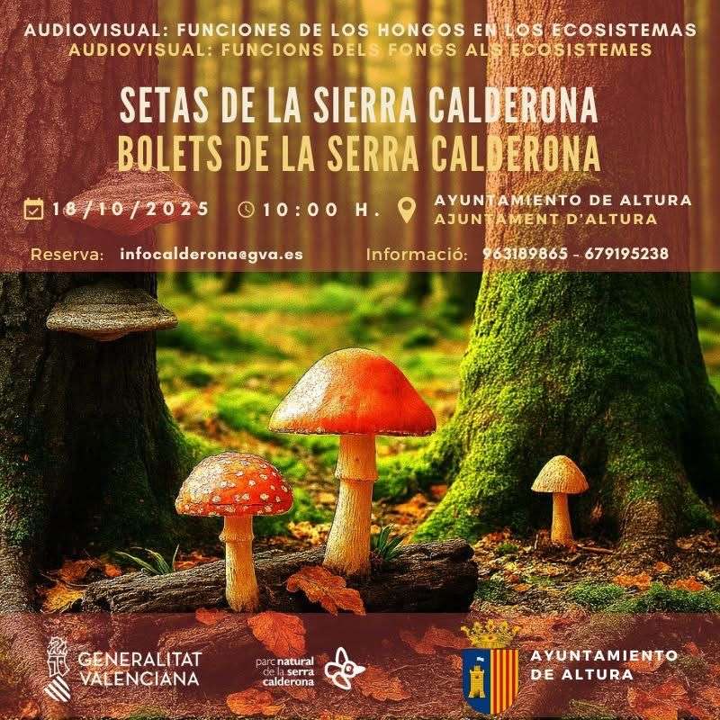 Cartel del evento. EPDA