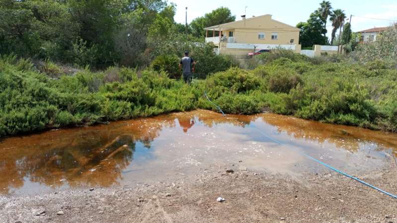 Servicios ante mosquitos en Benic�ssim.  EPDA