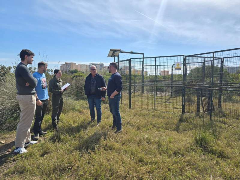 Instalaci�n de jaulas para la captura de jabal�es en Oropesa del Mar.  EPDA