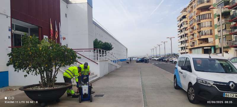 Treballs de control de plagues a Borriana. EPDA