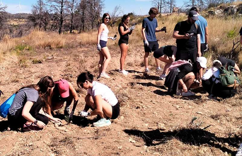 Trabajo de reforestacin de los alumnos. EPDA