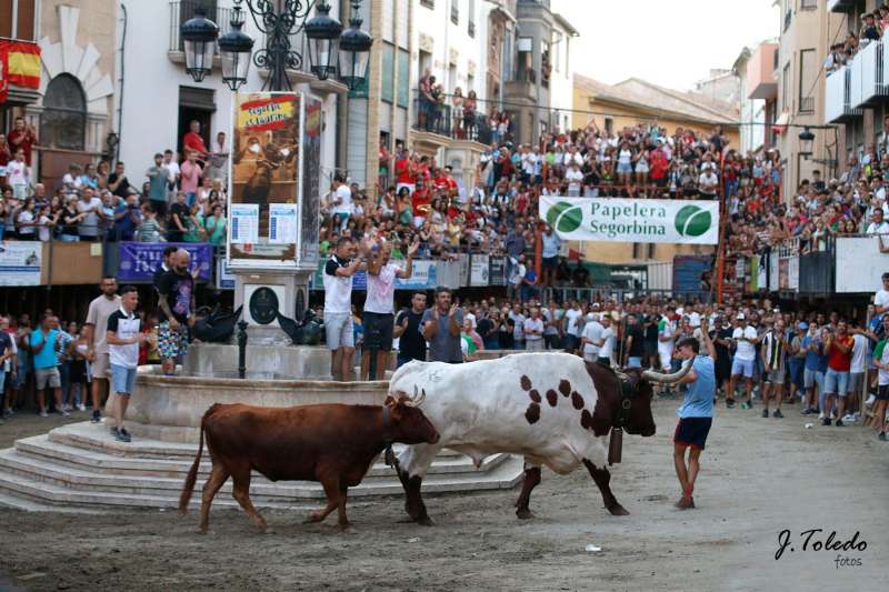 La vaca Morena de Hermanos Navarré tuvo una magnífica actuación recibiendo al retirarse los aplausos de los aficionados. Foto: J. Toledo