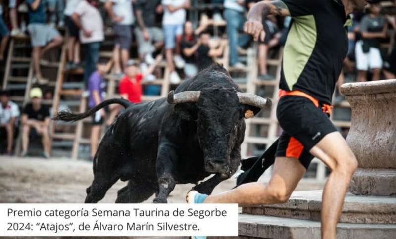 Fotografa ganadora del concurso en 2024. LVARO MARN 