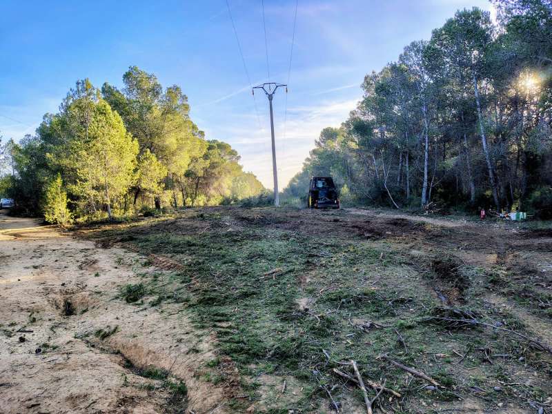 La vegetació arrasada pels treballs de tala i desbrossament. EPDA