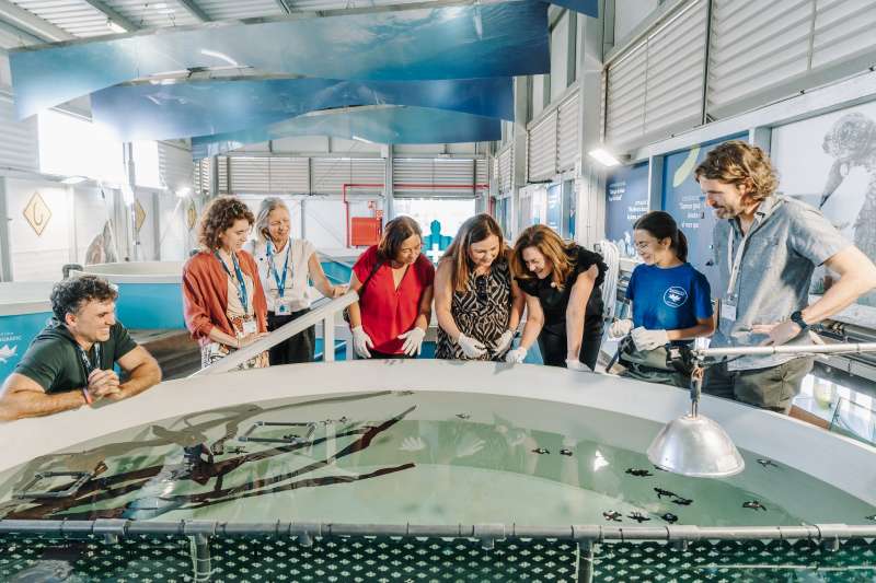 Una representaci de l?Ajuntament de Nules visita l?Oceanogrfic de Valncia on es troben